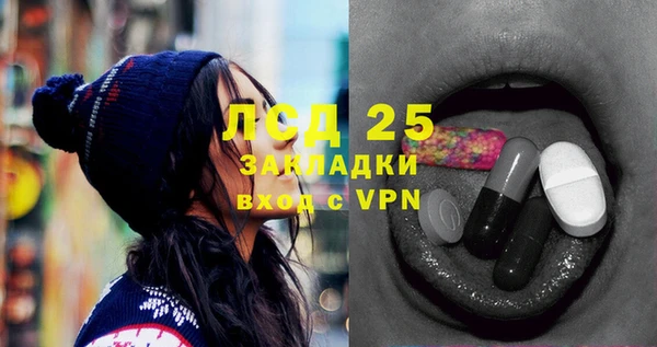 ПСИЛОЦИБИНОВЫЕ ГРИБЫ Баксан