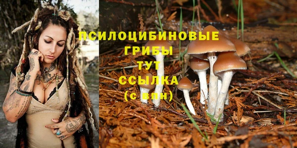 ПСИЛОЦИБИНОВЫЕ ГРИБЫ Баксан